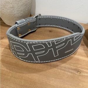 Lifting Belt